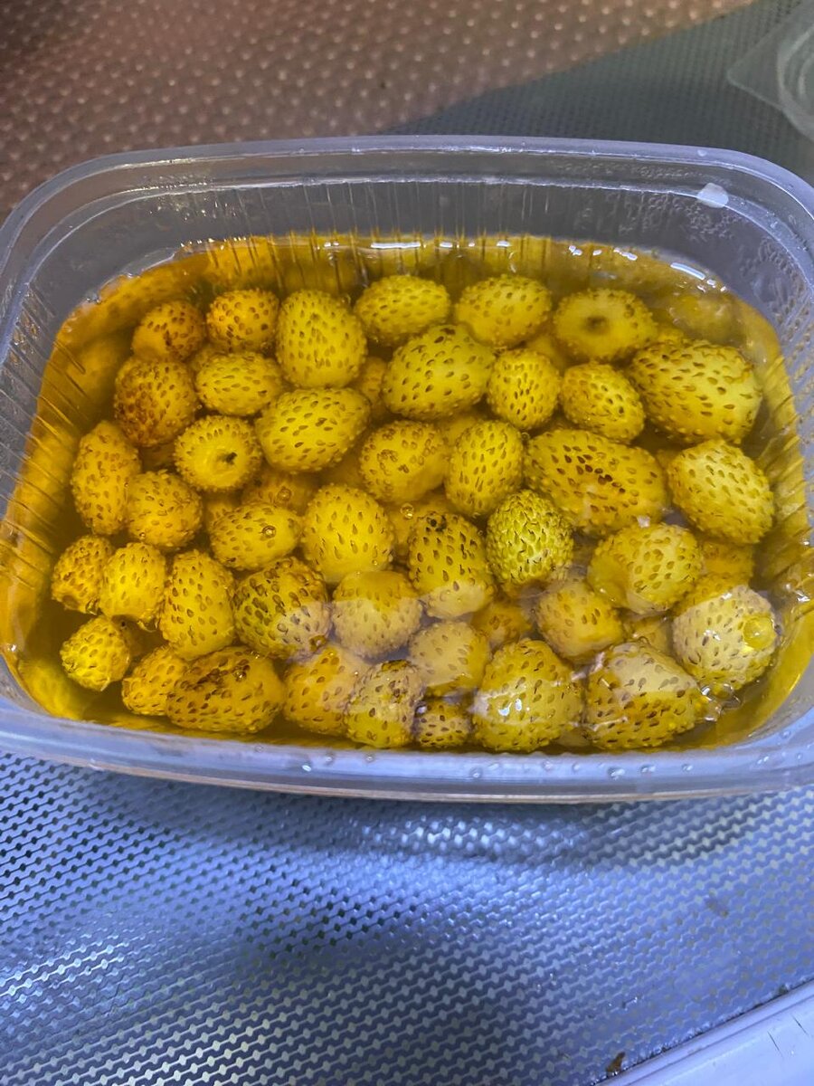 Желе из белой земляники. Получается вот такая красота.