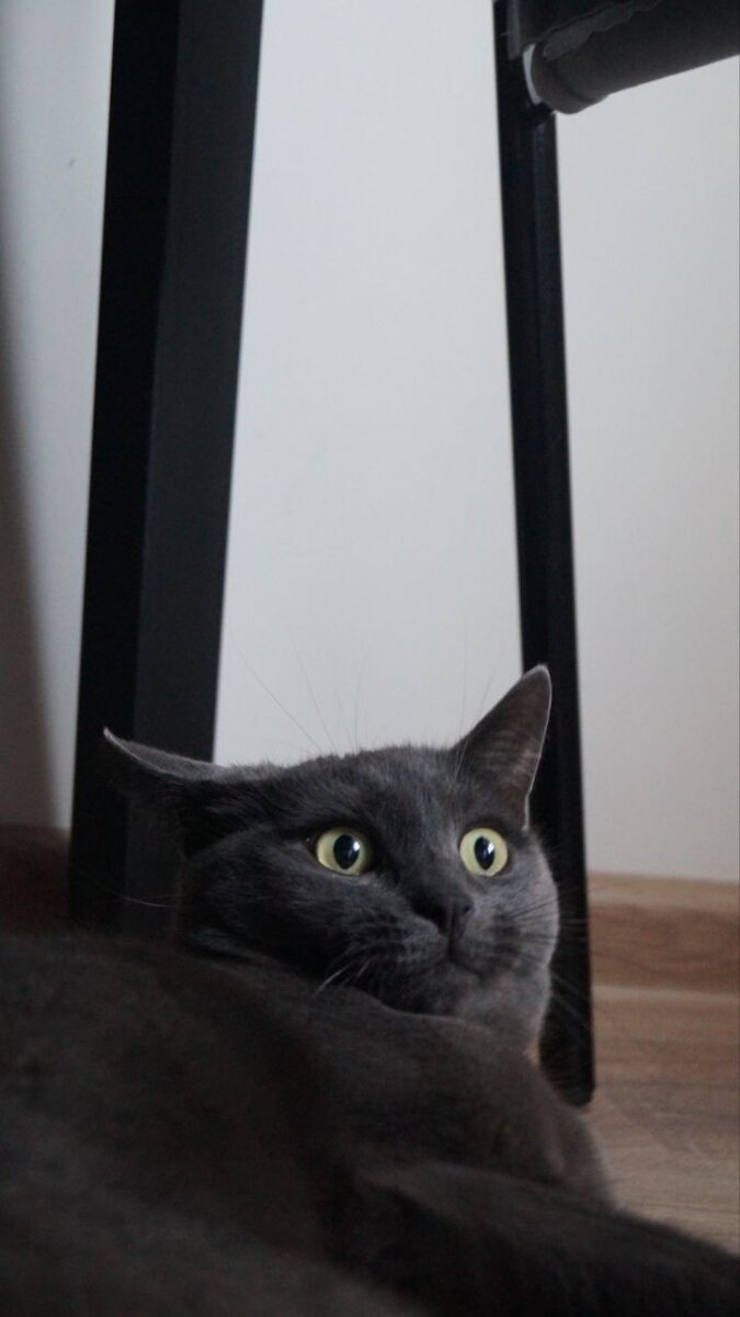 Хто? Я?!