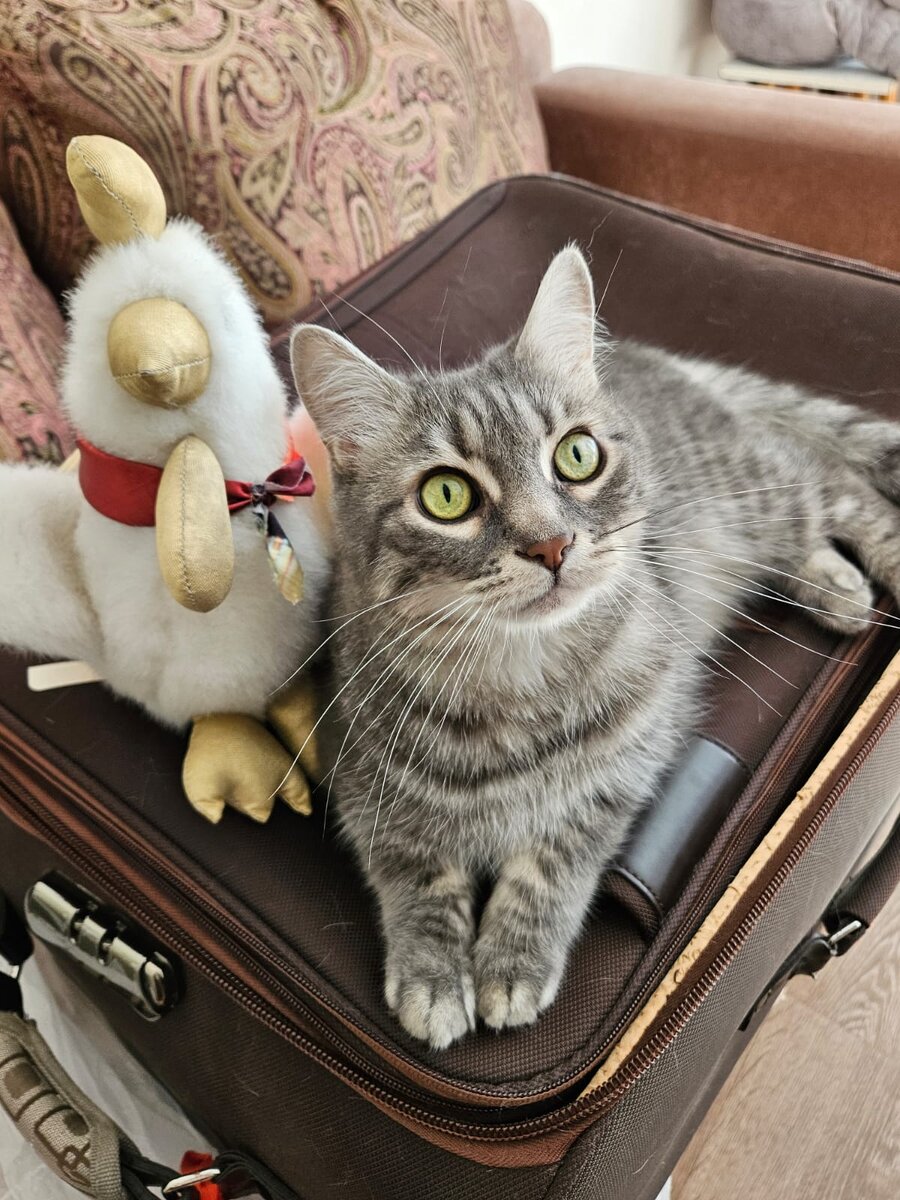 Наша Марыська... ❤️