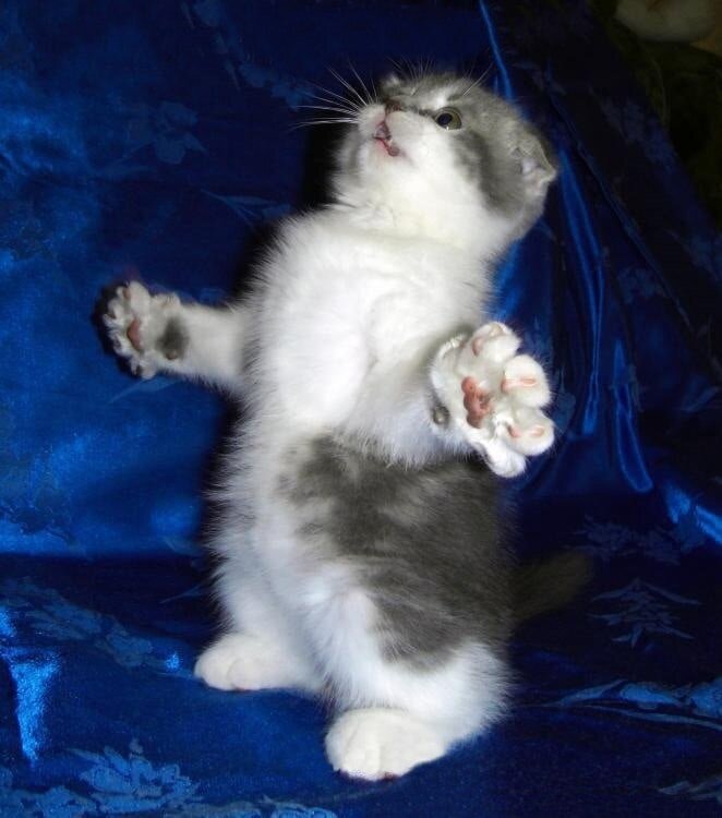 источник Яндекс-картинки