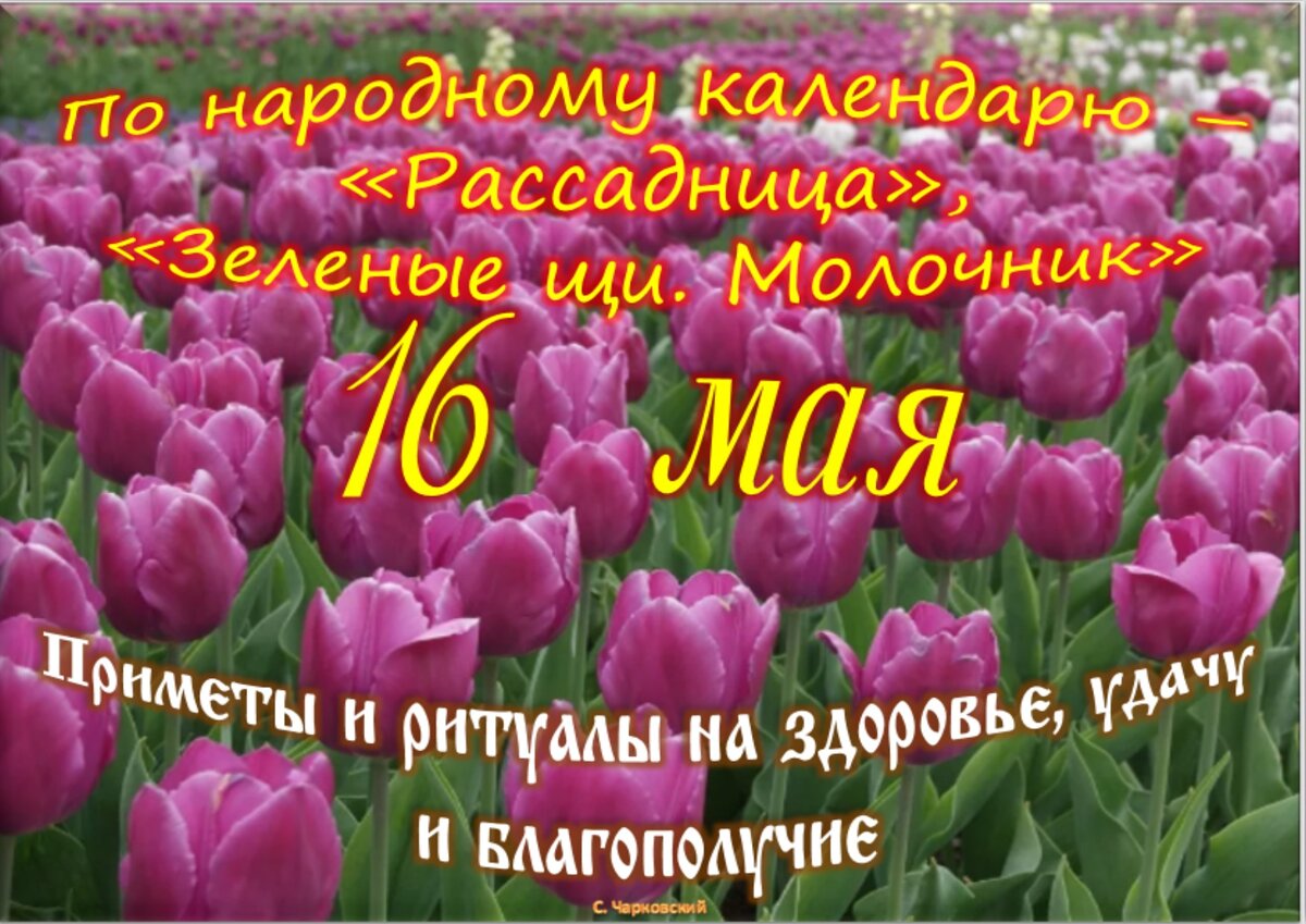 Встречаем новый день