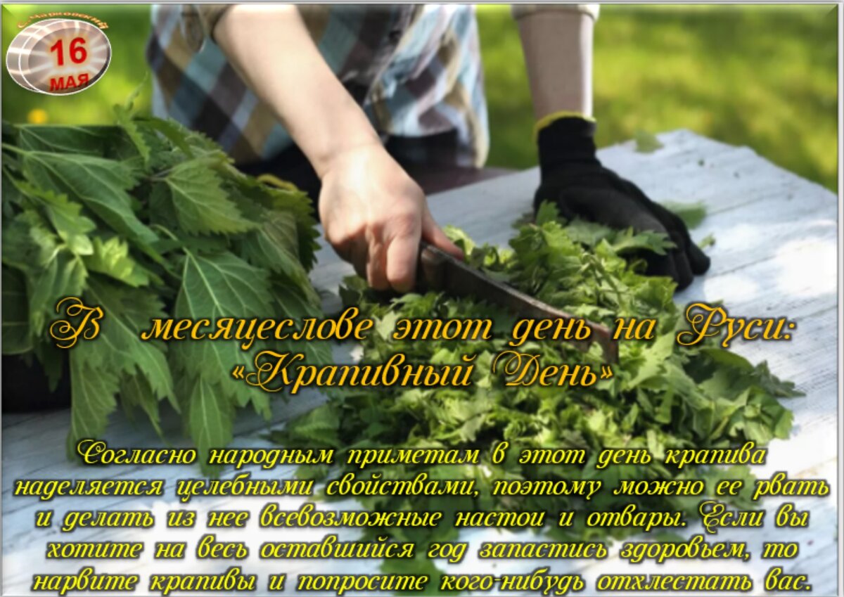 Встречаем новый день