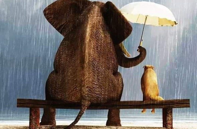 ПОМОЩЬ КАК ТЕРАПИЯ: КАК И ПОЧЕМУ ПОДДЕРЖКА ДРУГИХ ПОМОГАЕТ СПРАВЛЯТЬСЯ С СОБСТВЕННЫМИ ПСИХОЛОГИЧЕСКИМИ ПРОБЛЕМАМИ