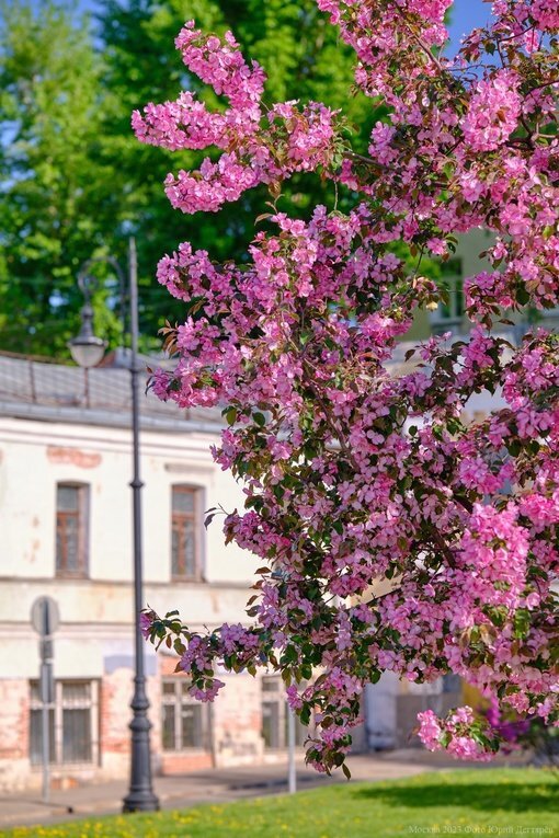 Фото из открытых источников 