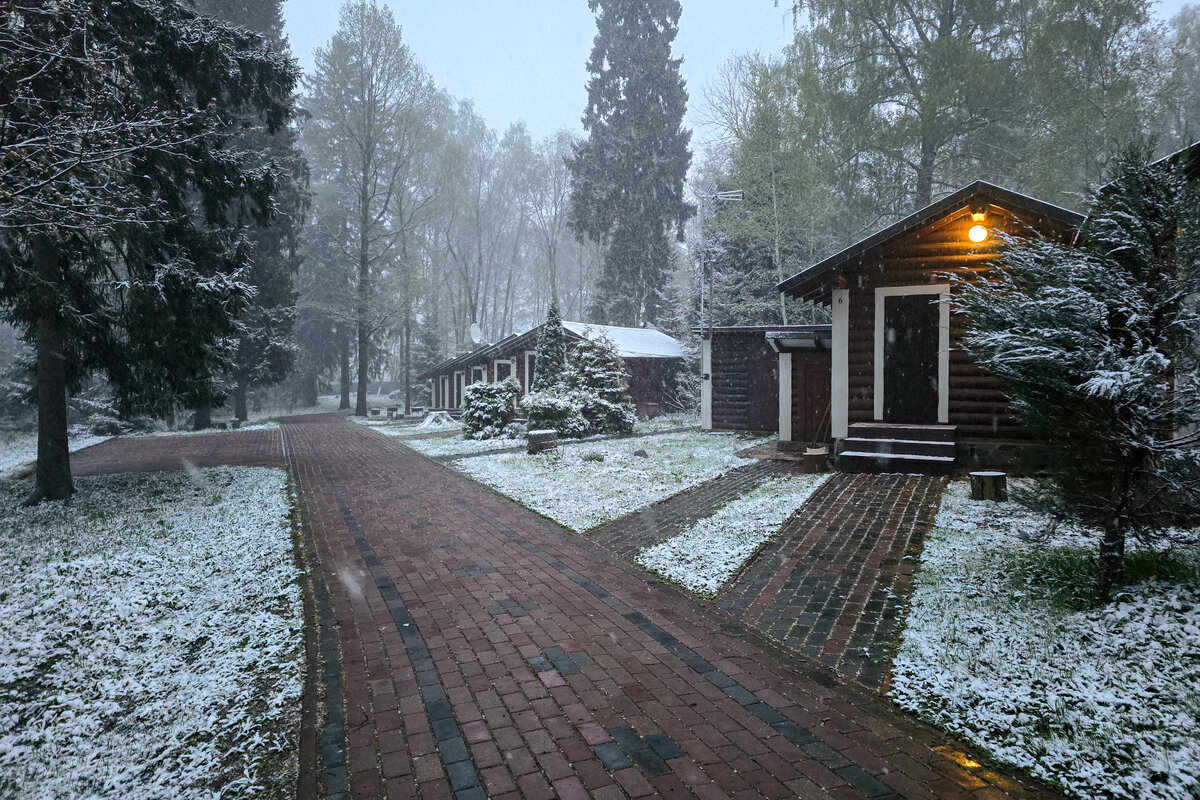 База "Березовая роща"