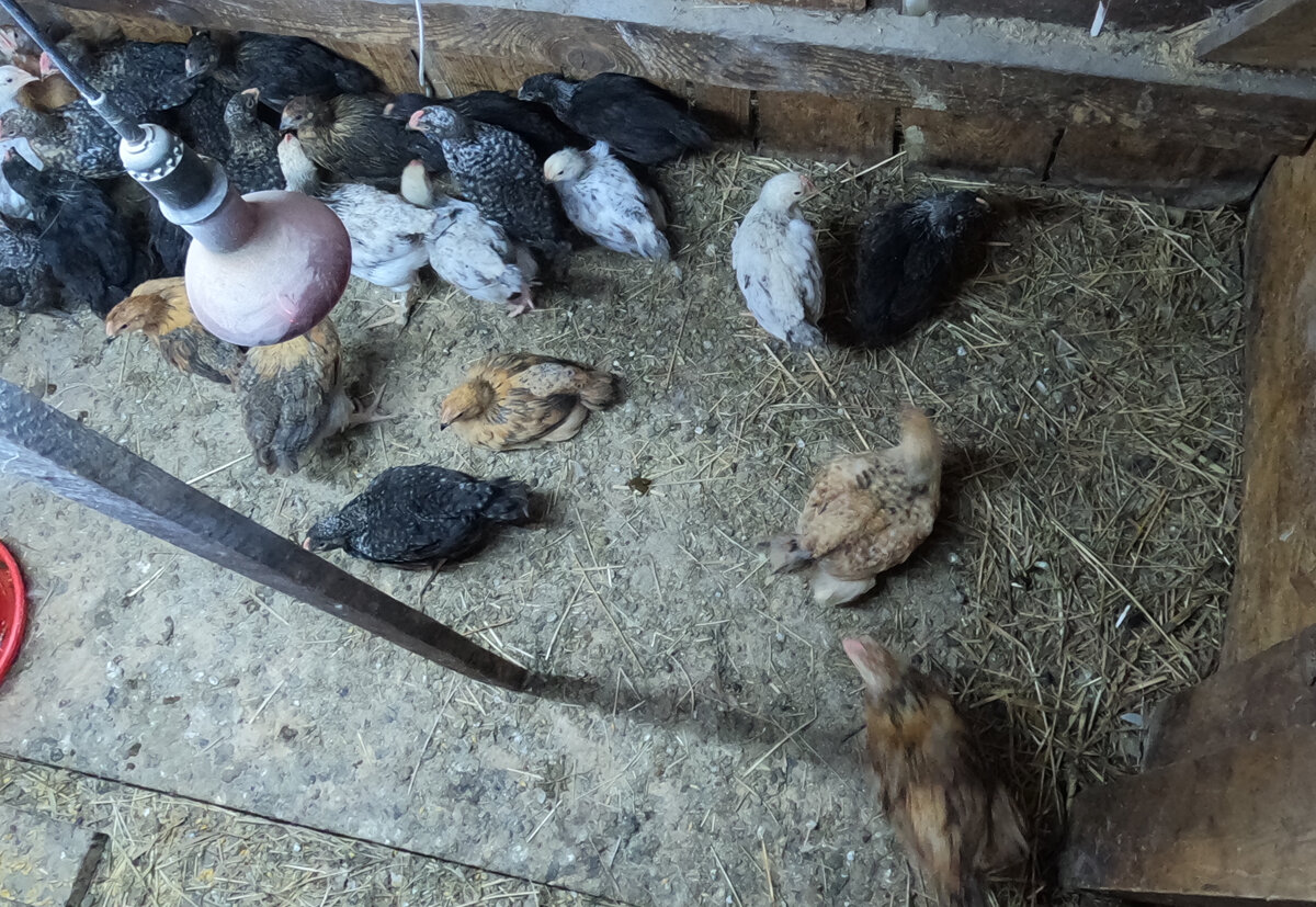 Делают вид, что меня испугались