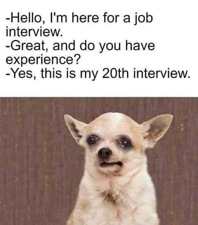 https://www.memedroid.com/memes/tag/job+interview