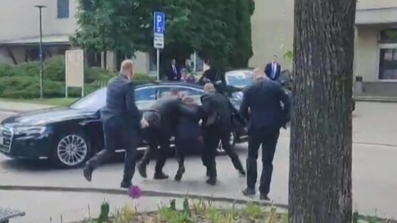    СМИ: в премьера Словакии стрелял 71-летний писатель Анастасия Романова