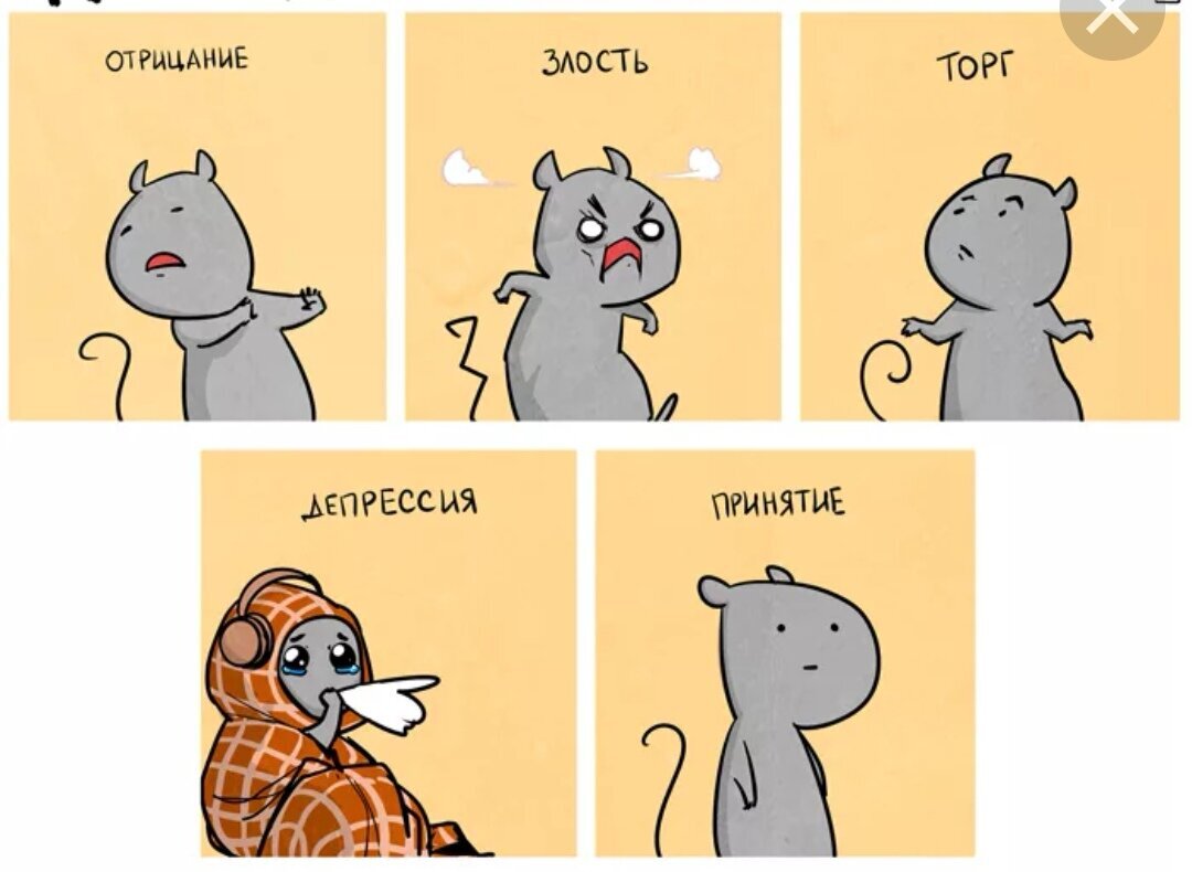 Яндекс картинки