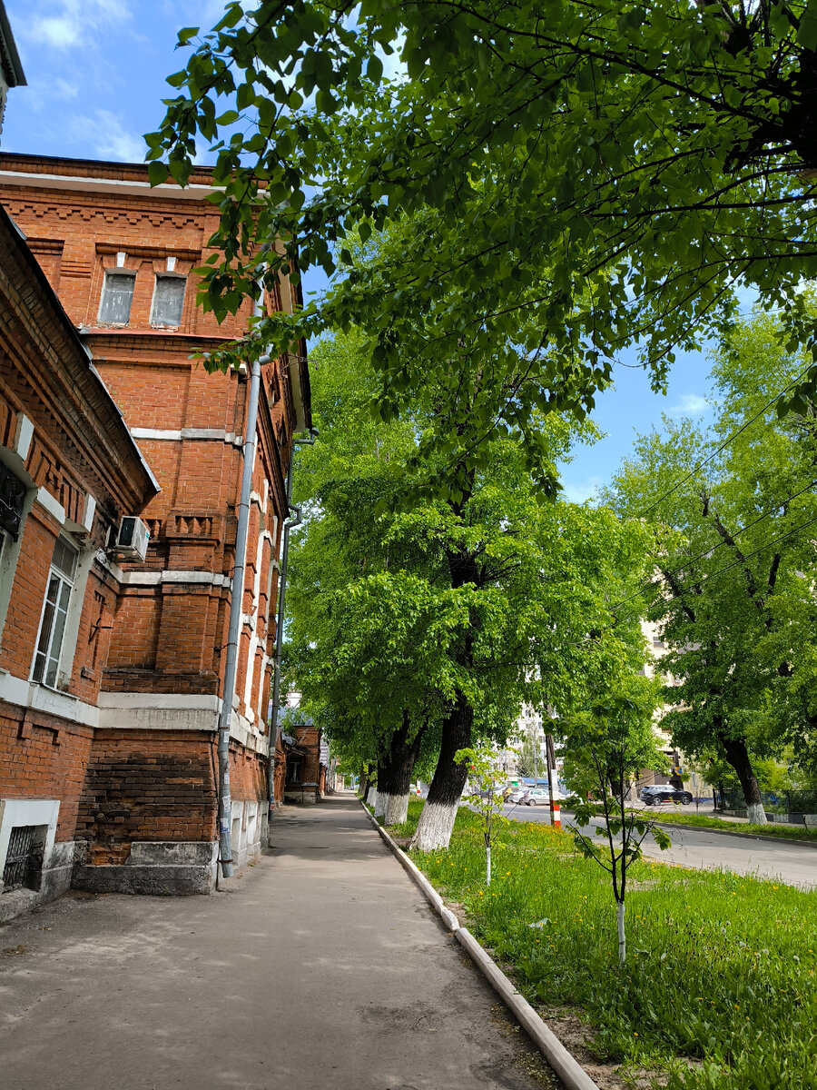 В статье всё фото автора канала. 