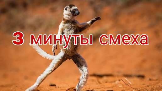 Смешные моменты: смех до слез. Часть 22.