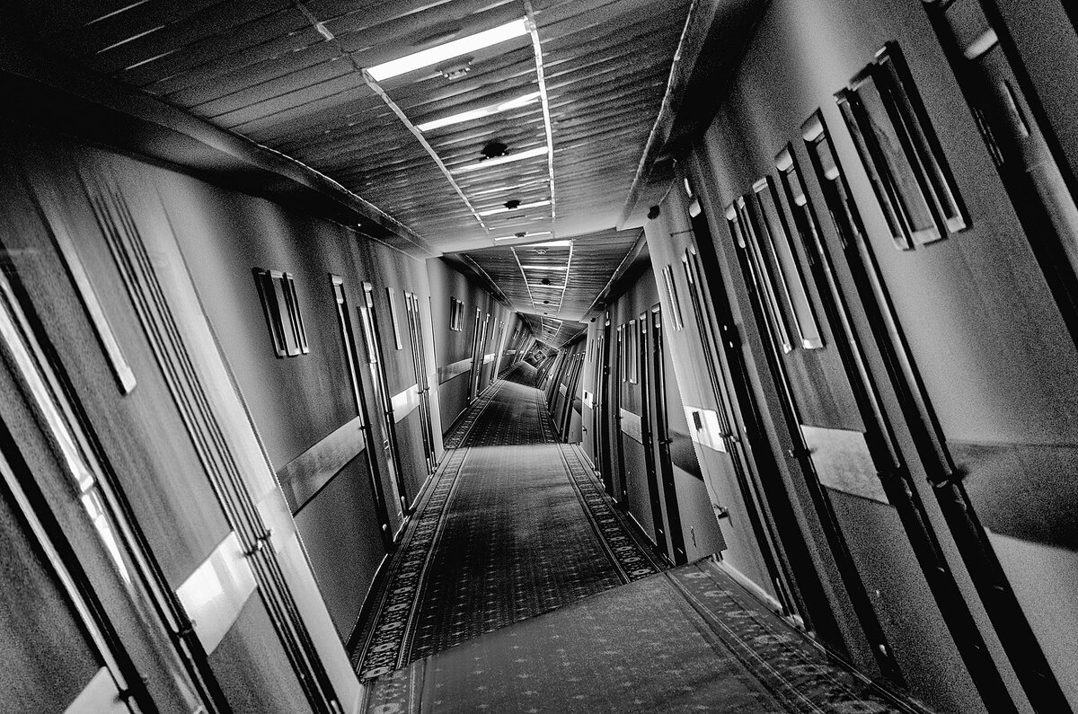 Коридор и двери-дницы, а за ними — птицы, птицы... Изображение из сети