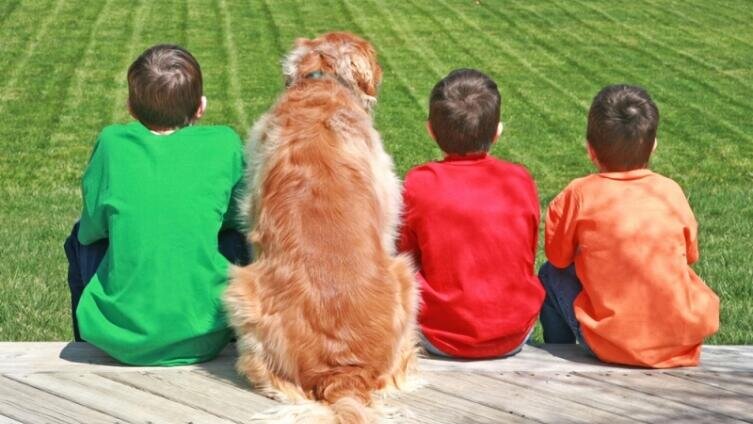     Фото: sonya etchison, по лицензии shutterstock.com