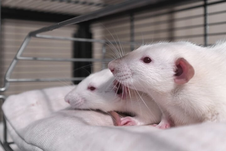 Фото: Freepik.com