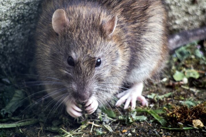 Фото: Freepik.com