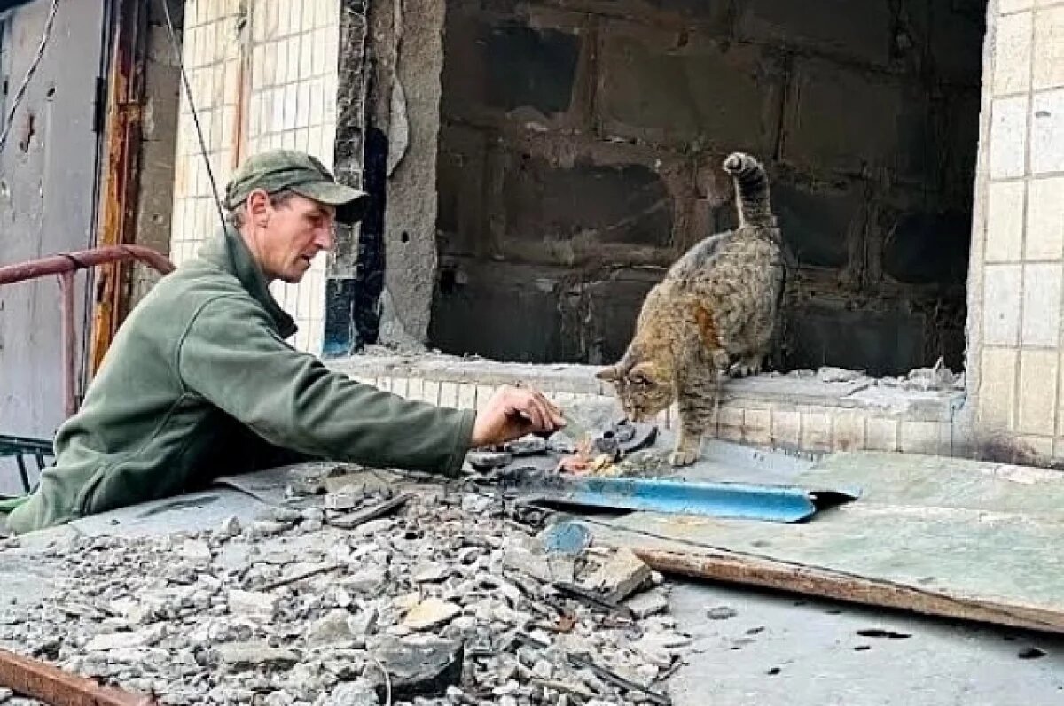    Солдаты бескорыстно любят собак и котов, а те очень это чувствуют.