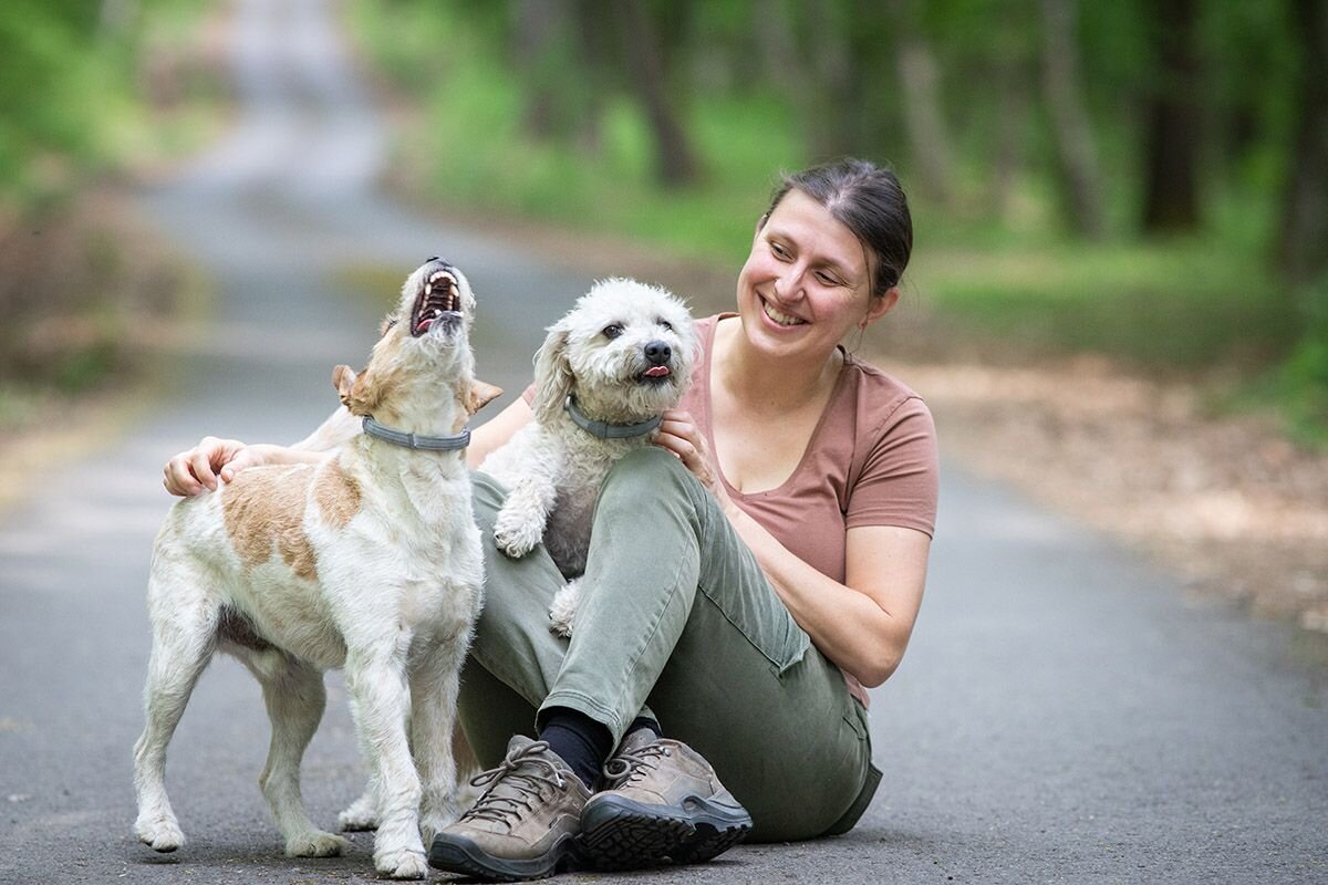 Выгуливать собак интересно и на первый взгляд несложно, но на деле очень ответственно📷

