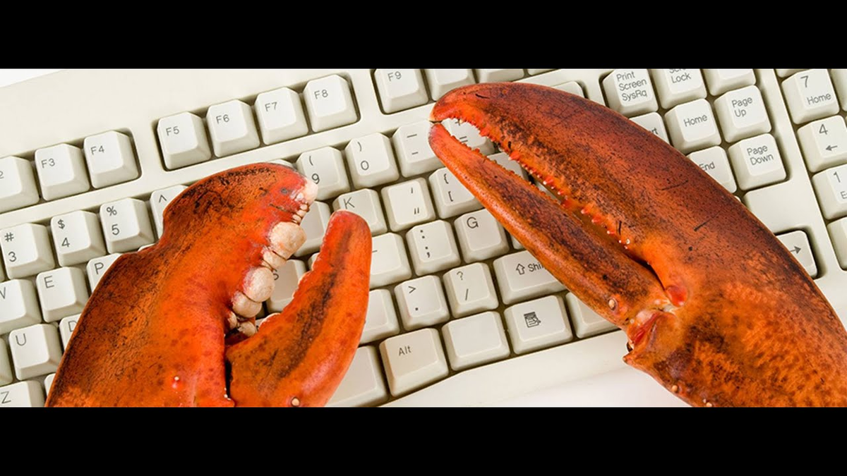 Лапки у нее что ли... Источник - https://i.ytimg.com/vi/s2QpiSlicvQ/maxresdefault.jpg?7857057827