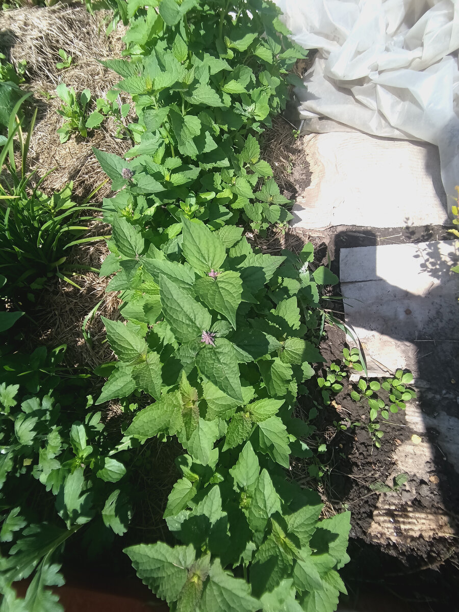 Июль прошлого года