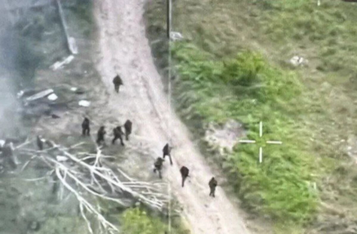    «РВ»: украинские боевики сдаются в плен в Волчанске целыми толпами