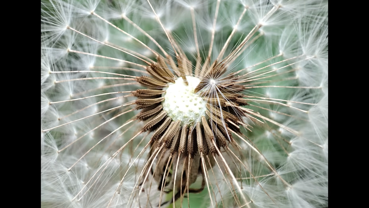    i-shoppers обзоры