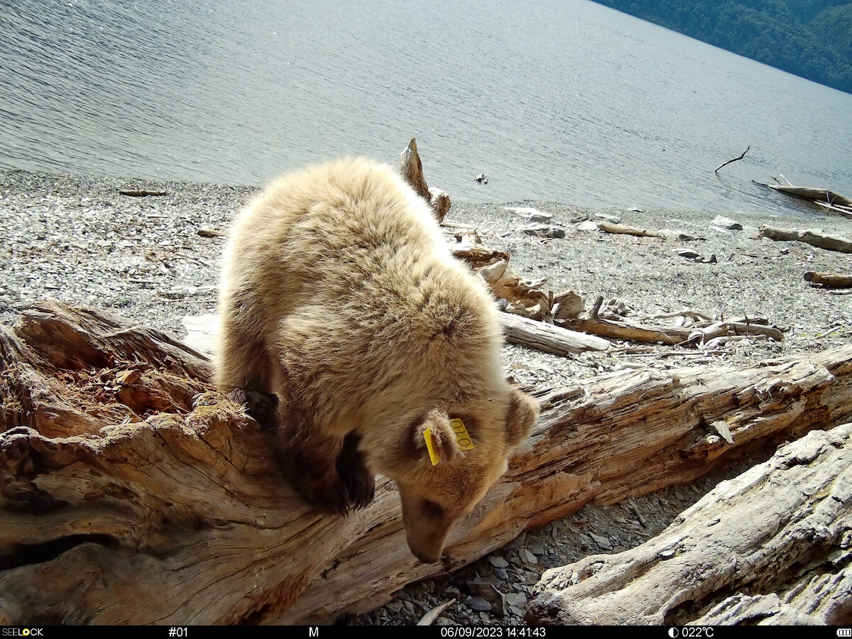 Тошка после выпуска.