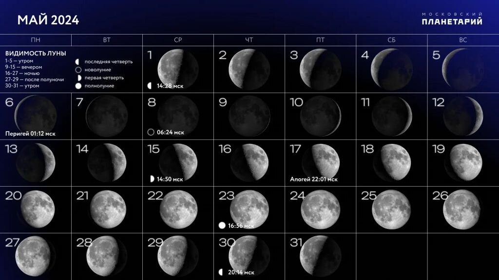 Ведьмочка лунный календарь 2024 Полнолуние в мае 2024 года: точная дата и к чему готовиться при "цветочной" Луне