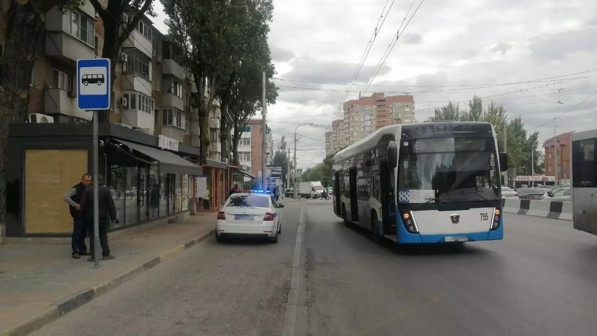     Источник: УГИБДД по РО