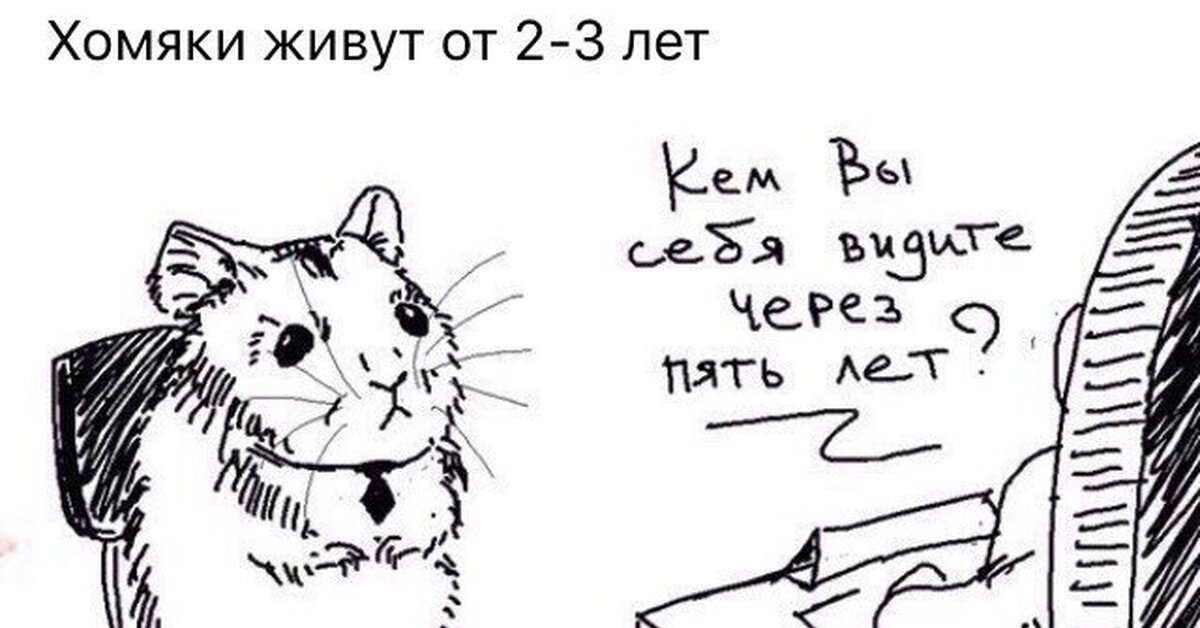 Рандомный хомяк в метавселенной