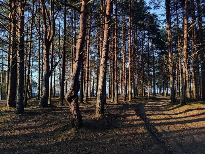     МК в Карелии
