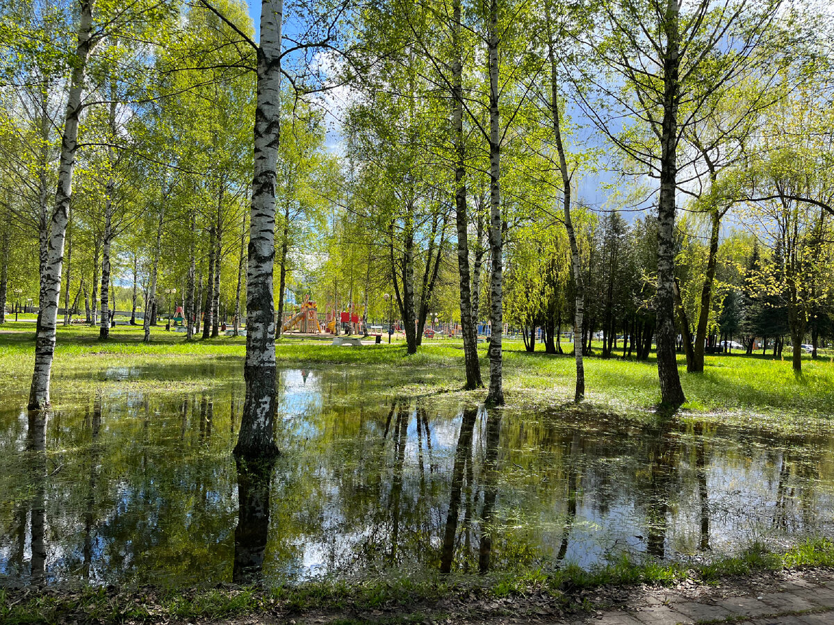 Сквер рядом с домом. Фото автора 