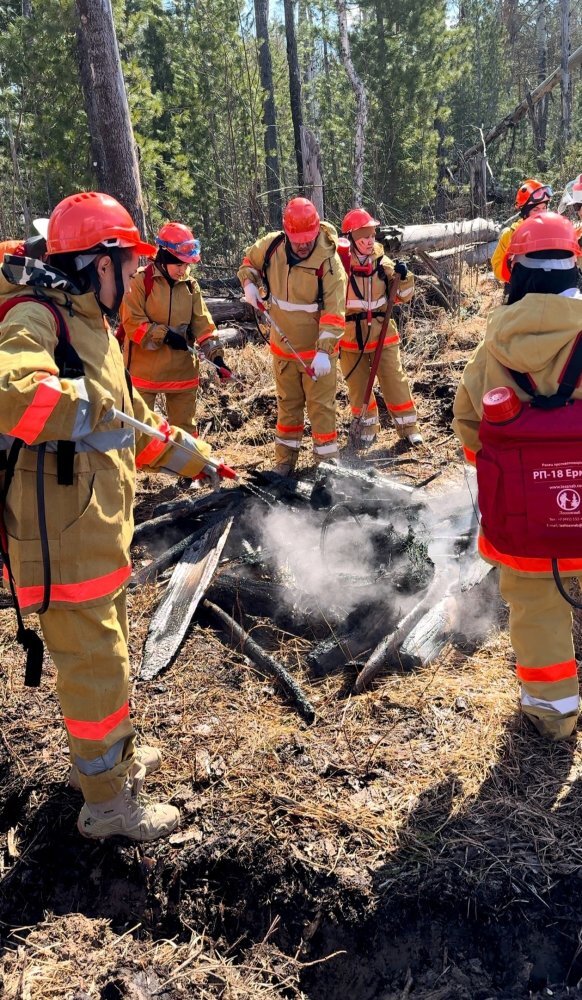    Придем на помощь добровольно и профессионально