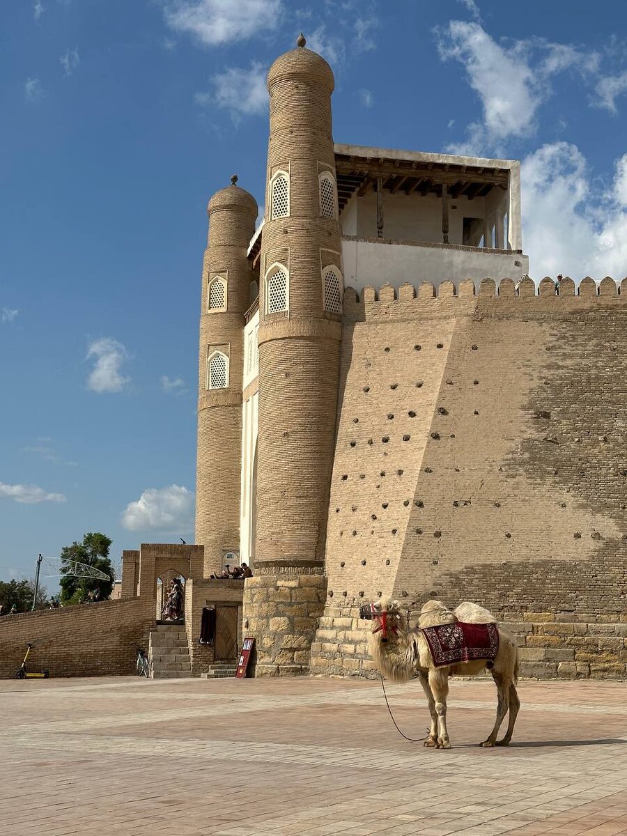    В Бухареличный архив автора
