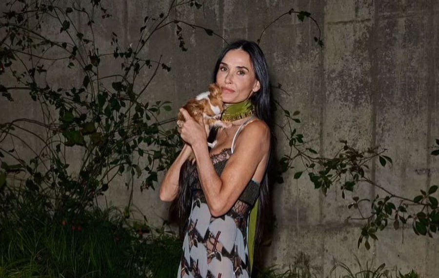 Фото: соцсети 