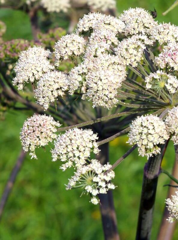 Фото: Наталья Доронина  📷

