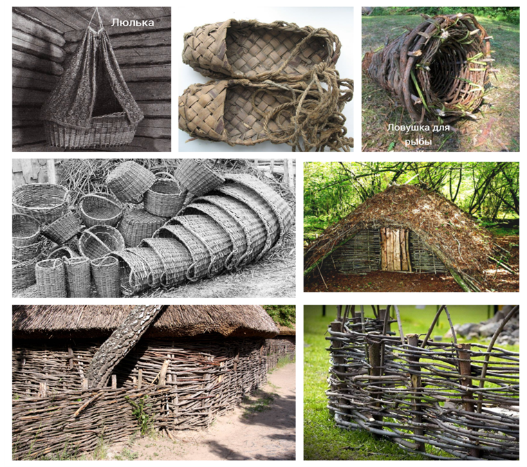     Фото из интернет - ресурсов