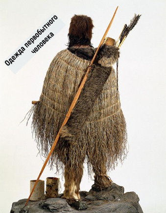      Фото из интернет - ресурсов