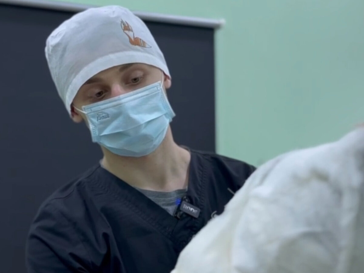 Перевязка после фейслифтинга со СМАС- и платизмопластикой