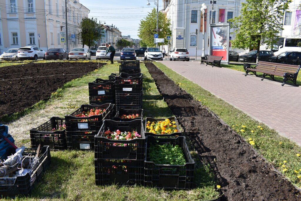 Красота! В Твери «Зеленстрой» обустраивают клумбы и цветники