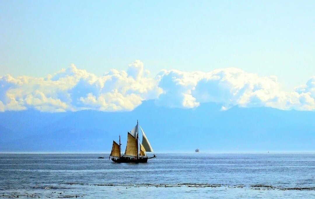 Изображение взято из пространства интернета