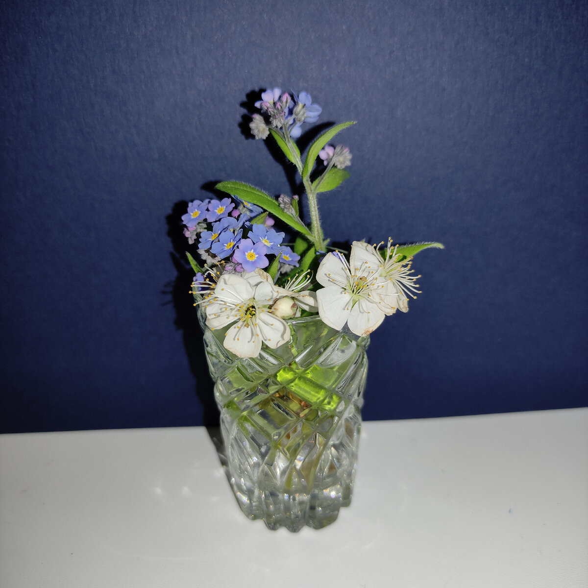 Сын вчера подарил. Балует частенько маму.