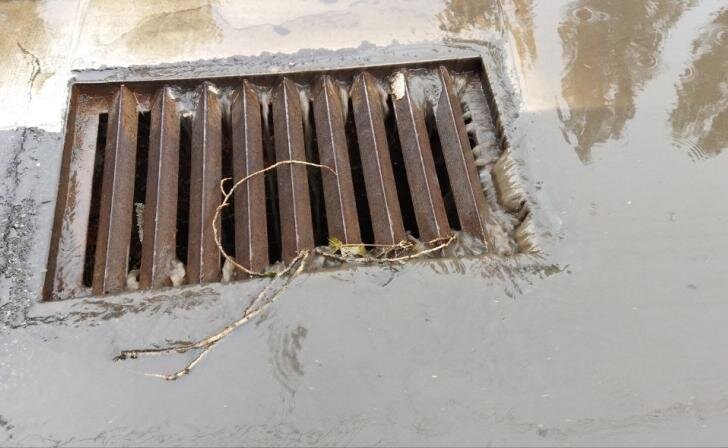    фото Курские известия