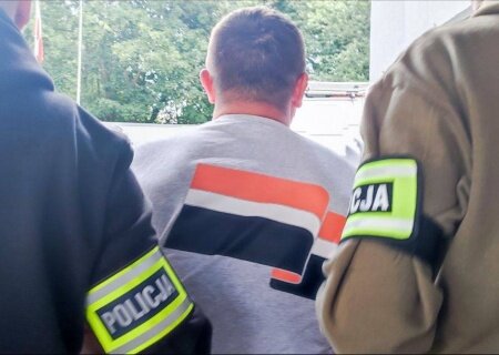    Большинство поляков выступило за депортацию украинских мужчин обратно на Украину