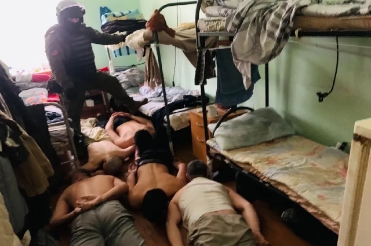    Канал незаконной миграции через Госуслуги ликвидировали в Петербурге