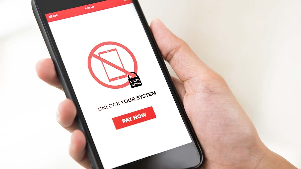 Хочешь разблокировать телефон – заплати: новый вид мошенничества |  PrimeNews.by | Дзен