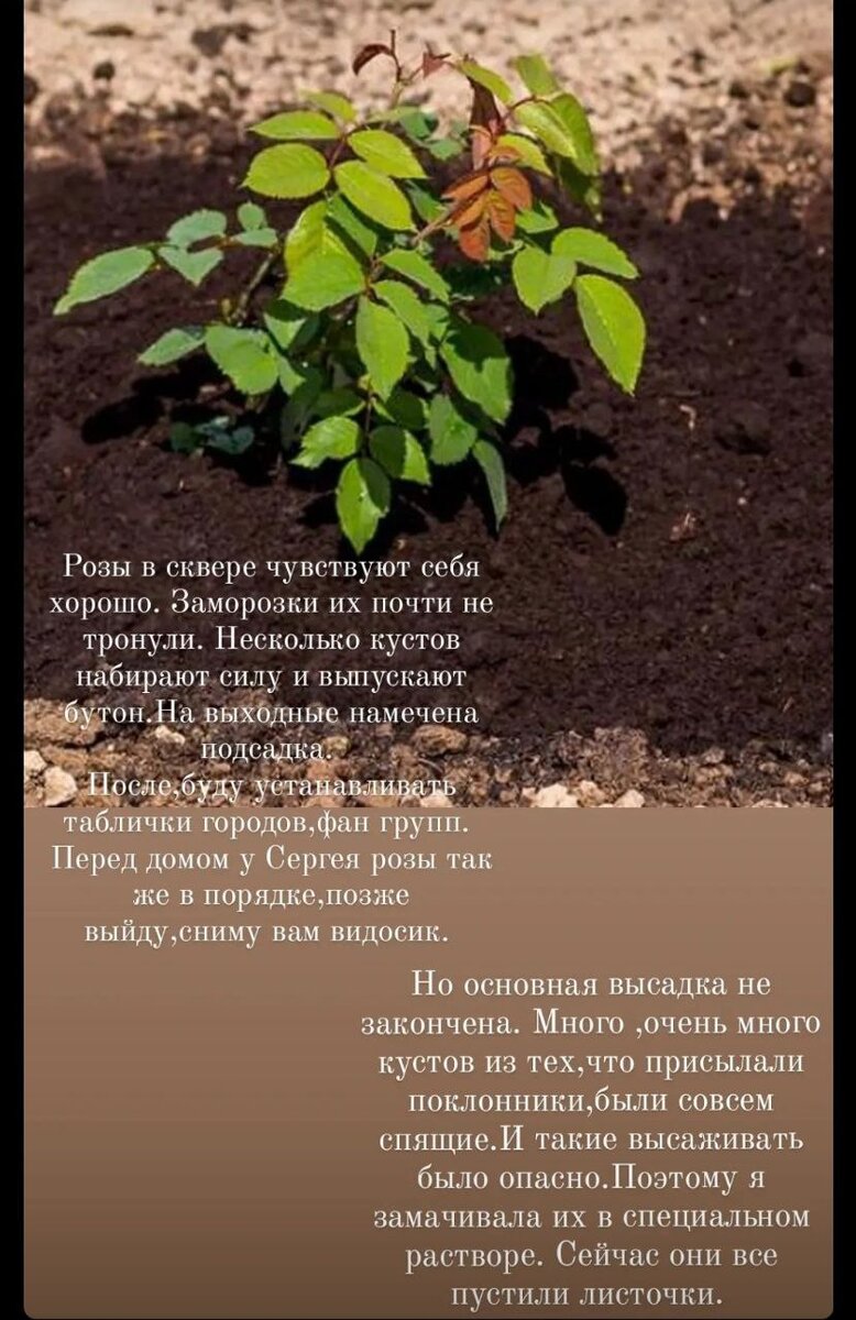 Фото от Оксаны Масягутовой из Оренбурга 