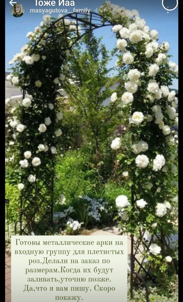 Фото от Оксаны Масягутовой из Оренбурга 