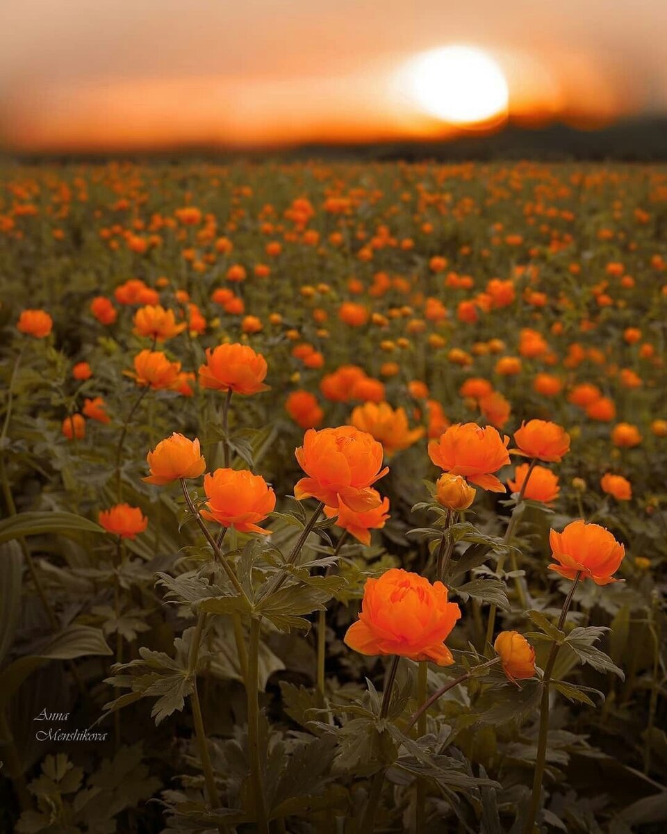 Фотография использована в иллюстрационных целях и взята из открытого доступа Яндекс-фото. 