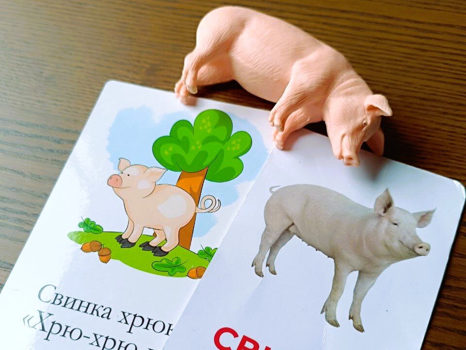 Наглядный материал