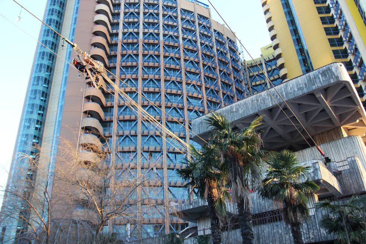    фото: Telegram/Сочи официальный